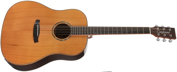 Tanglewood TRS5 SE