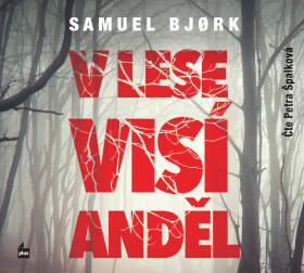 V lese visí anděl - Samuel Bjørk - audiokniha