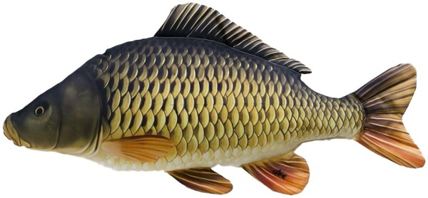 Gaby Polštář Kapr šupináč 64 cm,Gaby Polštář Kapr šupináč 64 cm