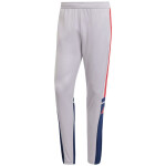 Kalhoty adidas Squadra 25 Training M JP3372 XL