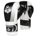BUSHIDO Boxerské rukavice DBX B-2v3A 12 oz (30-B1-182)