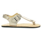 Koel Abriana Champagne
