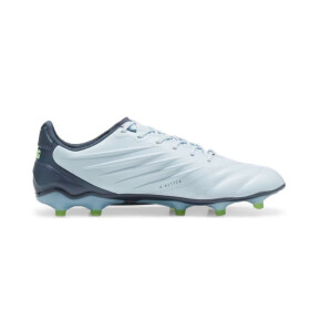 Kopačky Puma King Pro FG/AG 107862 03 43