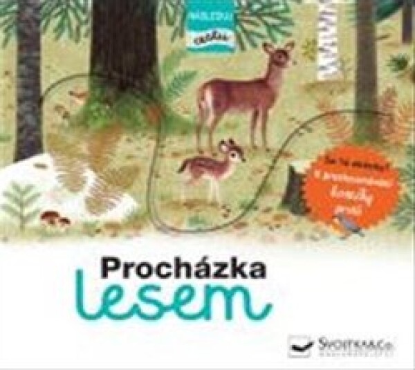 Procházka lesem následuj cestu