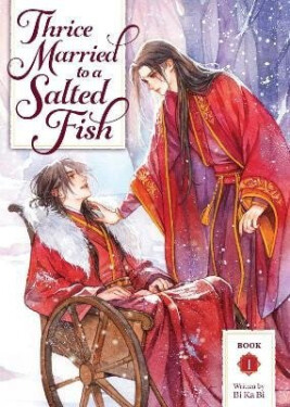 Thrice Married to a Salted Fish (Novel) Vol. 1 - Ka Bi Bi