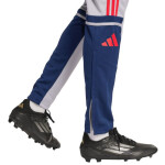 Kalhoty adidas Squadra 25 Training M JP3372 XL