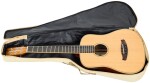 Tanglewood TRX2E