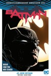 Batman 01: Já jsem Gotham Finch, David; King, Tom