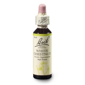 Kaštan bílý (White Chestnut) 20 ml- Bachovy esence Dr.Bach