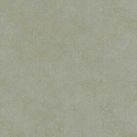 Dlažba Mrazuvzdorná Solid Béžová 80/80