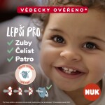 NUK Dudlík Star Disney Medvídek Pú 6-18m