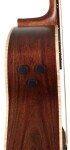 Ibanez PA300E Natural