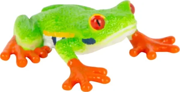 Mojo Listovnice Červenooká