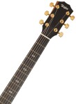 Taylor 224ce-K DLX C-Class Bracing