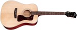 Guild D40E Standard NAT