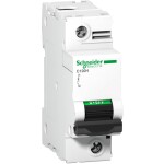 Schneider Electric A9N18447 A9N18447 elektrický jistič 100 A 144 V/DC