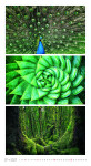 Nástěnný kalendář 2027 Graspo Colours