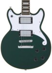 D'Angelico Premier Brighton Sherwood Green