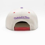 Mitchell & Ness Pánská kšiltovka Toronto Raptors NBA Pop Panel Snapback
