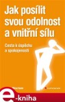 Jak posílit svou odolnost a vnitřní sílu. Cesta k úspěchu a spokojenosti - Denis Mourlane e-kniha