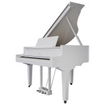 Roland GP-9M PW