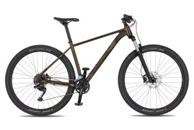 4EVER FRONTBEE XCM 29", rám 19" (L), model 2026, barva gold galaxy - ZDARMA dopravné, odborná montáž, seřízení, pojištění a dárkový poukaz na nákup příslušenství! (Záruka nejlepší ceny. Nalezli jste někde lepší cenu? Napište nám a zkusíme ji trumfnou...
