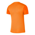 Pánské tréninkové tričko Dri-FIT Trophy DR0933-819 Nike cm)