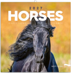 NOTIQUE Poznámkový kalendář Koně – Christiane Slawik 2027, 30 x 30 cm