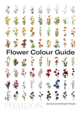 Flower Colour Guide - Taylor Putnam