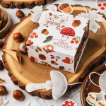 TEA HERITAGE Podzimní dárková sada bio čaje a rooibosu – 10 ks, červená barva
