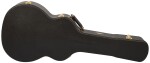 Taylor Builder's Edition 514ce Natural top