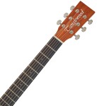 Tanglewood TR 5