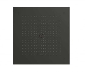 HANSGROHE - Raindance E Hlavová sprcha, 40x40 cm, EcoSmart, kartáčovaný černý chrom 26253340