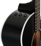 Taylor 214ce-BLK Plus