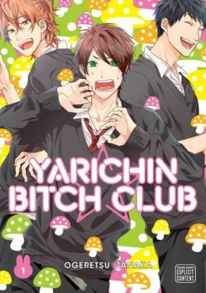 Yarichin Bitch Club Ogeretsu Tanaka