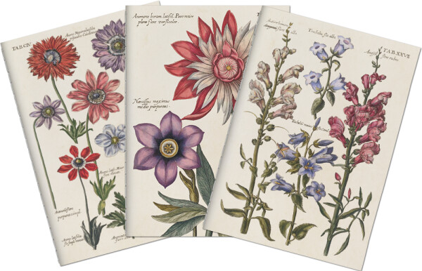 Sada tří notýsků Blue Flowers