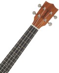 Tanglewood TWT 17 E (rozbalené)