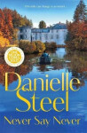 Never Say Never - Danielle Steel