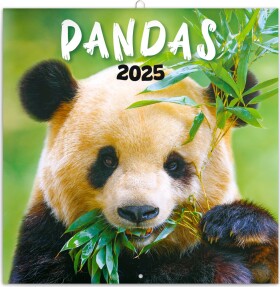 Kalendář 2025 poznámkový: Pandy, 30 30 cm