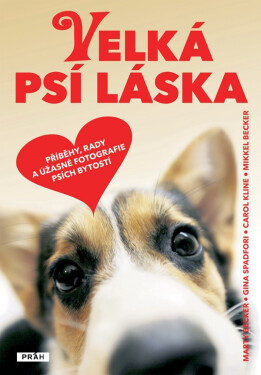Velká psí láska - Kolektiv autorů