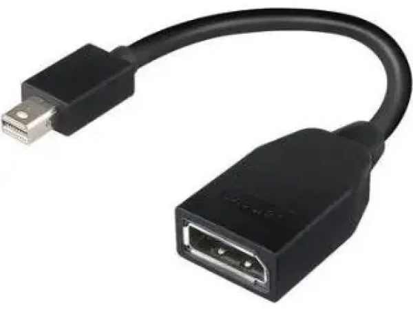 Lenovo 4X90L13971 / Redukce / Mini DisplayPort (M) - DisplayPort (F) / Černá (4X90L13971)