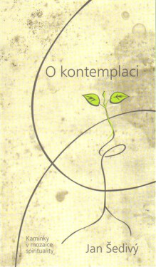 O kontemplaci - Kamínky v mozaice spirituality - Jan Šedivý