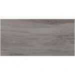 Dlažba Ashville Grey 29,7/59,8