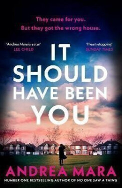 It Should Have Been You - Andrea Mara