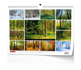 Nástěnný kalendář 2027 Baloušek Les