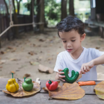 PlanToys PlanToys Křivé ovoce a zelenina