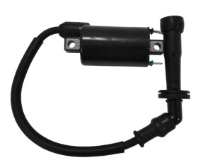Access-Motor Originální indukční cívka na Access Warrior 450