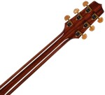 Takamine P4DC