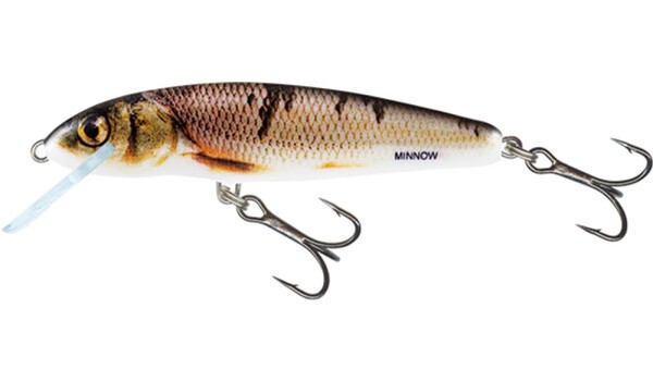 Salmo Wobler Minnow Sinking 5cm - Wounded Dace,Salmo Wobler Minnow Sinking 5cm - Wounded Dace
