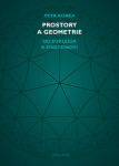 Prostory a geometrie - Petr Kůrka - e-kniha